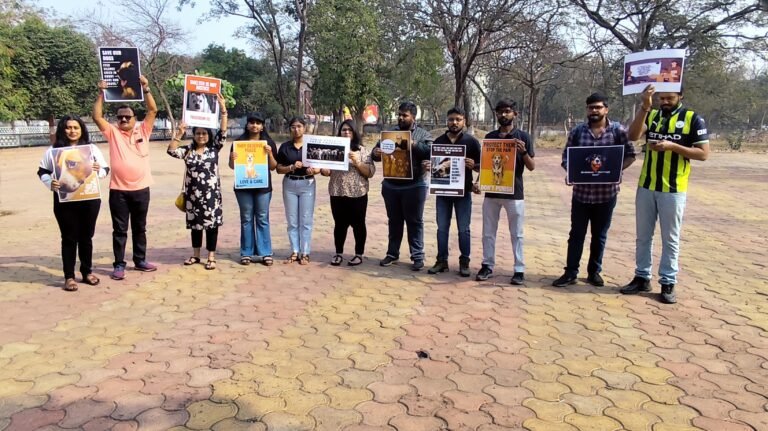 011162c4-8170-43d9-a63b-0859d335d6bc