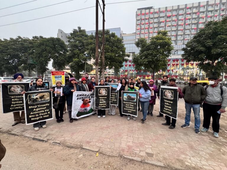 1489e72a-b461-46e4-87eb-afbc2eae2aa9