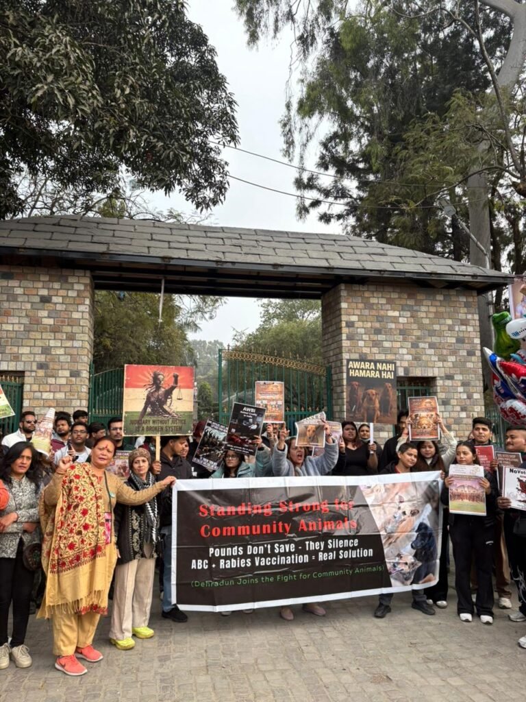 1e869c0f-f756-4afa-b15e-b1a08c44c49d