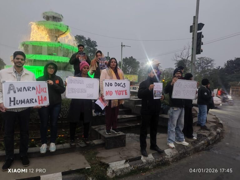 21c0df5f-600f-43a1-bb26-42b418018b00