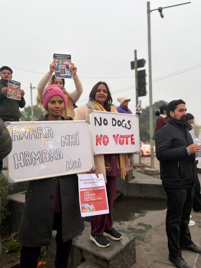 2ba38fd4-c588-473f-b539-835de23a55ad