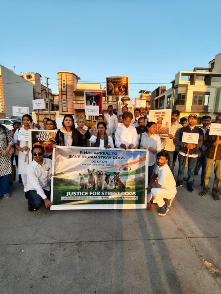 2fc29e46-e1ee-4d35-8dad-8be4470df719