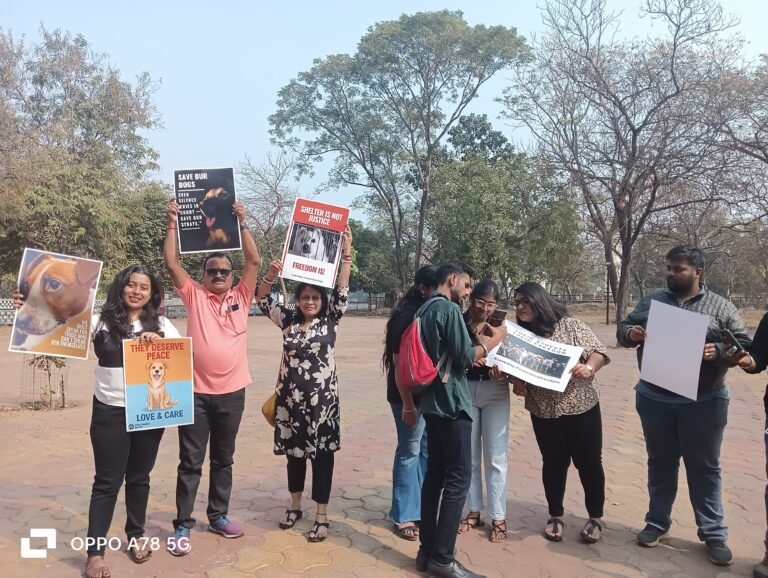 4321526a-ada9-457b-bdd6-561f80839e0d