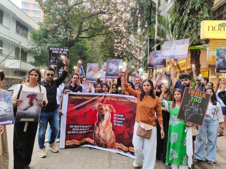 60514789-03f0-4b78-8025-258f025e3ca6