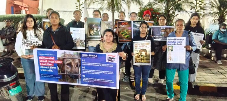 9a72e7e4-3693-4740-9672-3ed670adba8e