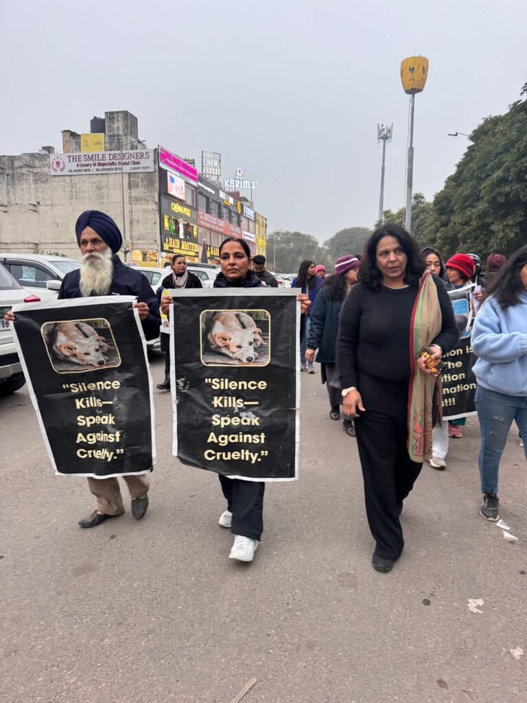 9ec6a915-c0af-4c9b-86aa-cdbf74c0f120