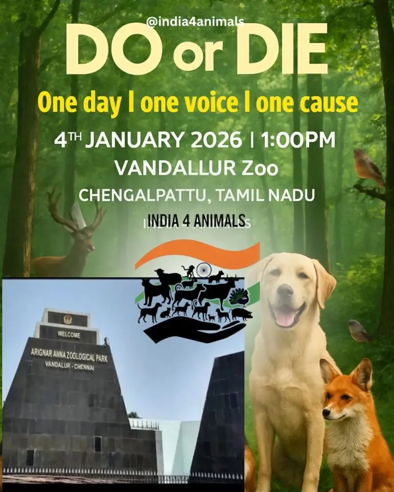 Copy of Untitled - 1