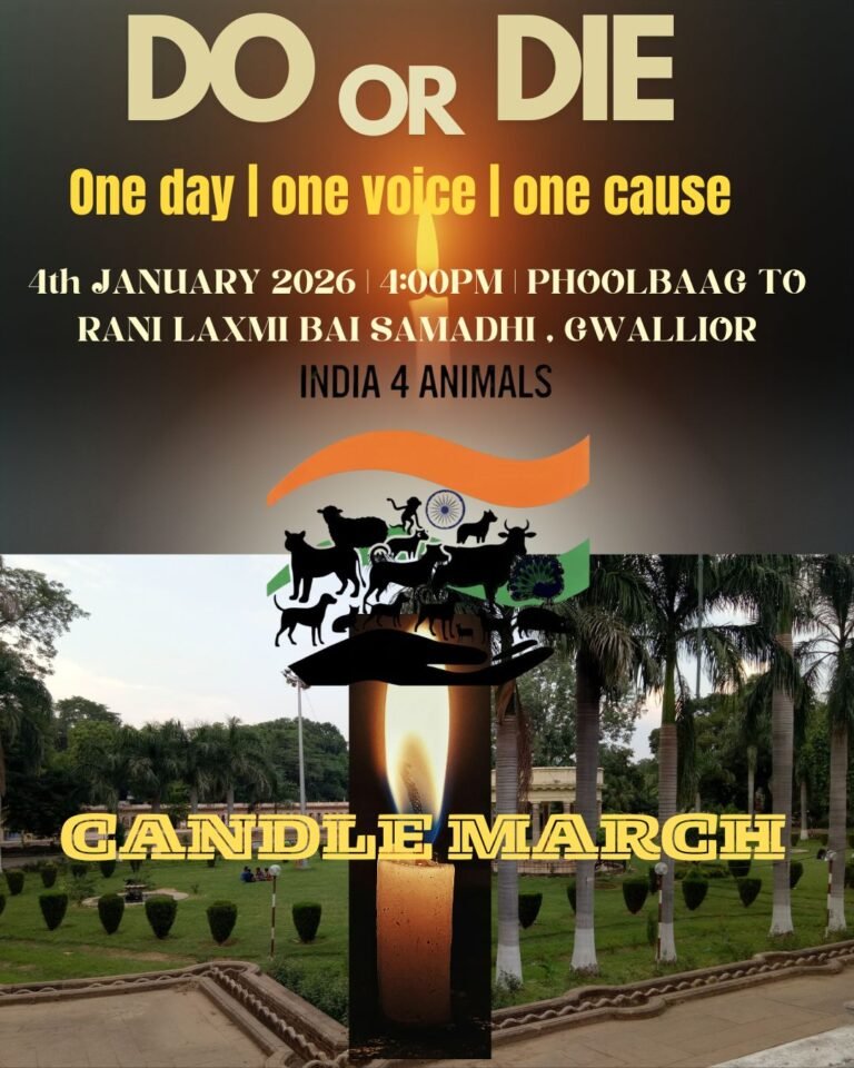 Copy of Untitled - 1