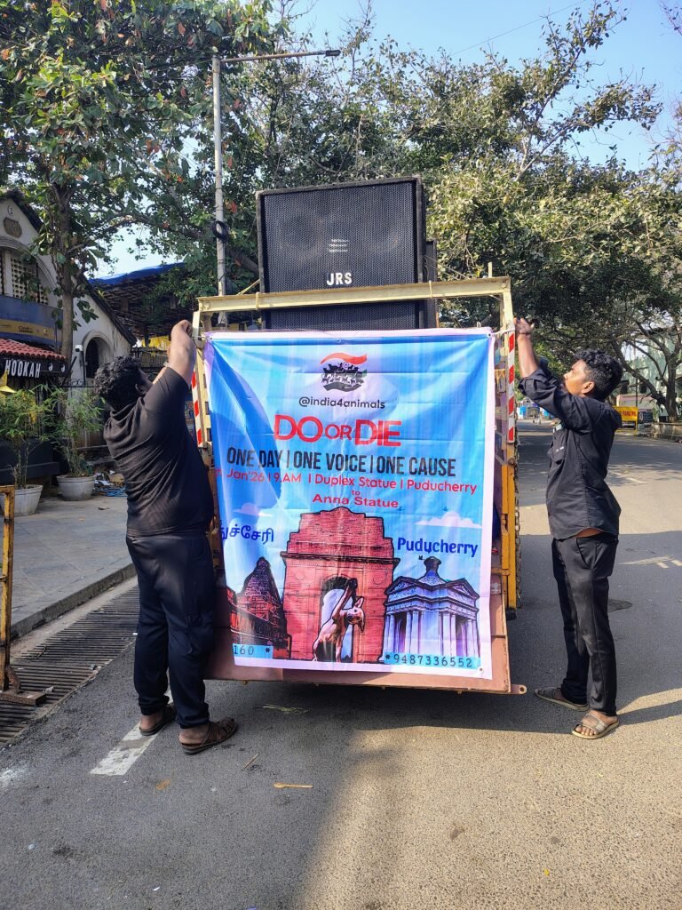 IMG_20260104_092601913_HDR_AE