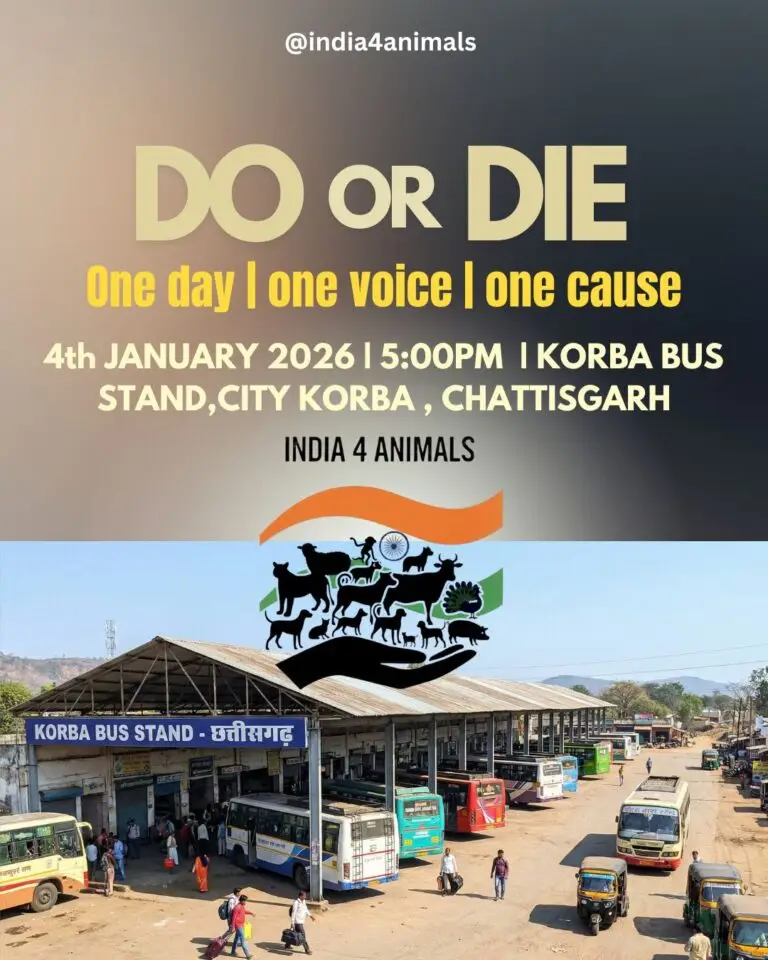 Copy of Untitled - 1