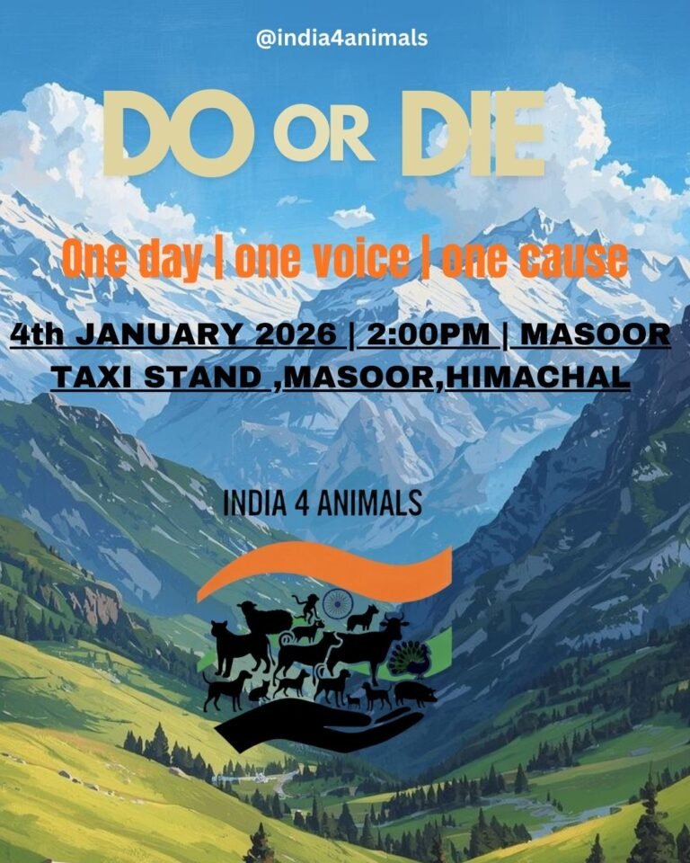 Copy of Untitled - 1