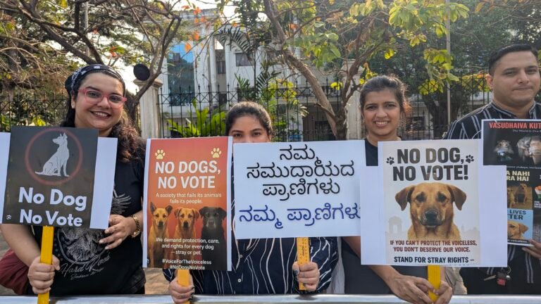 PXL_20260104_035653667