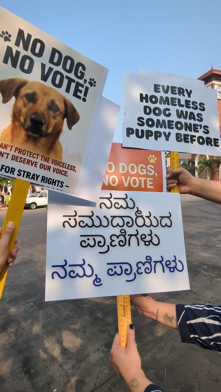 PXL_20260104_040012714