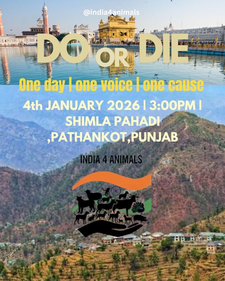 Copy of Untitled - 1