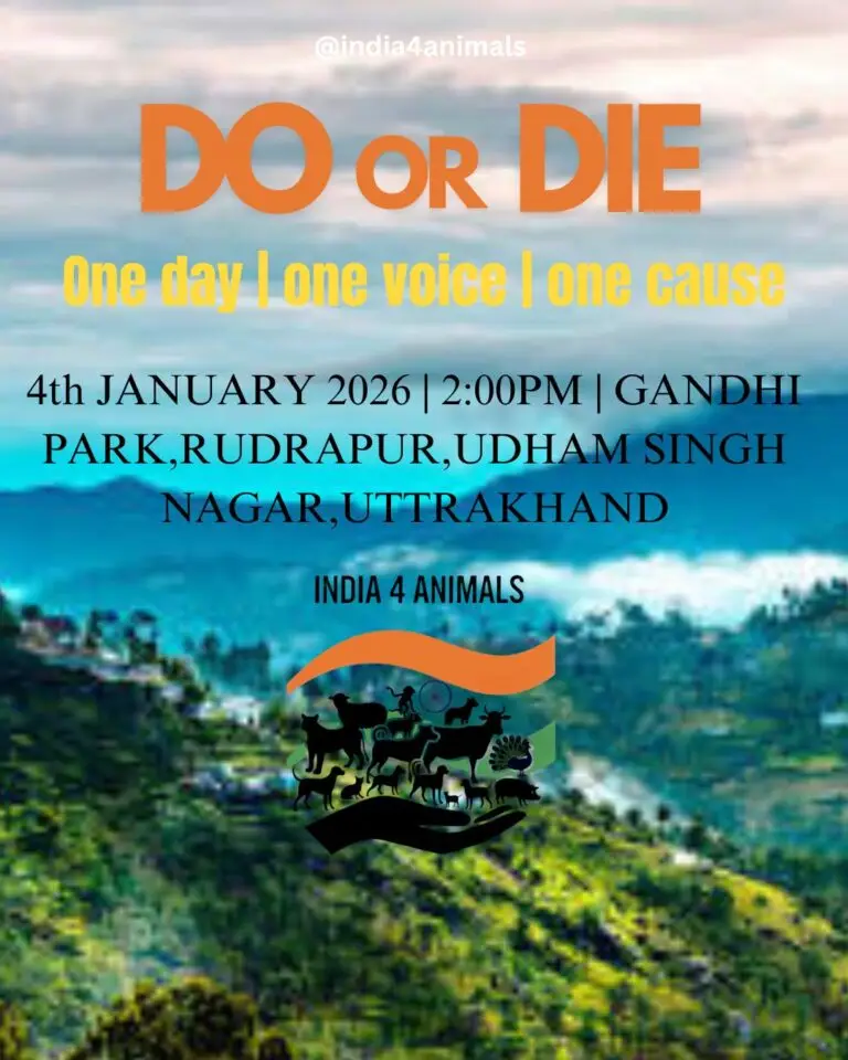 Copy of Untitled - 1