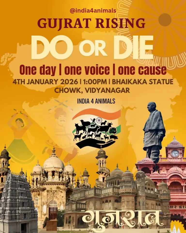 Vidyanagar, Gujarat_