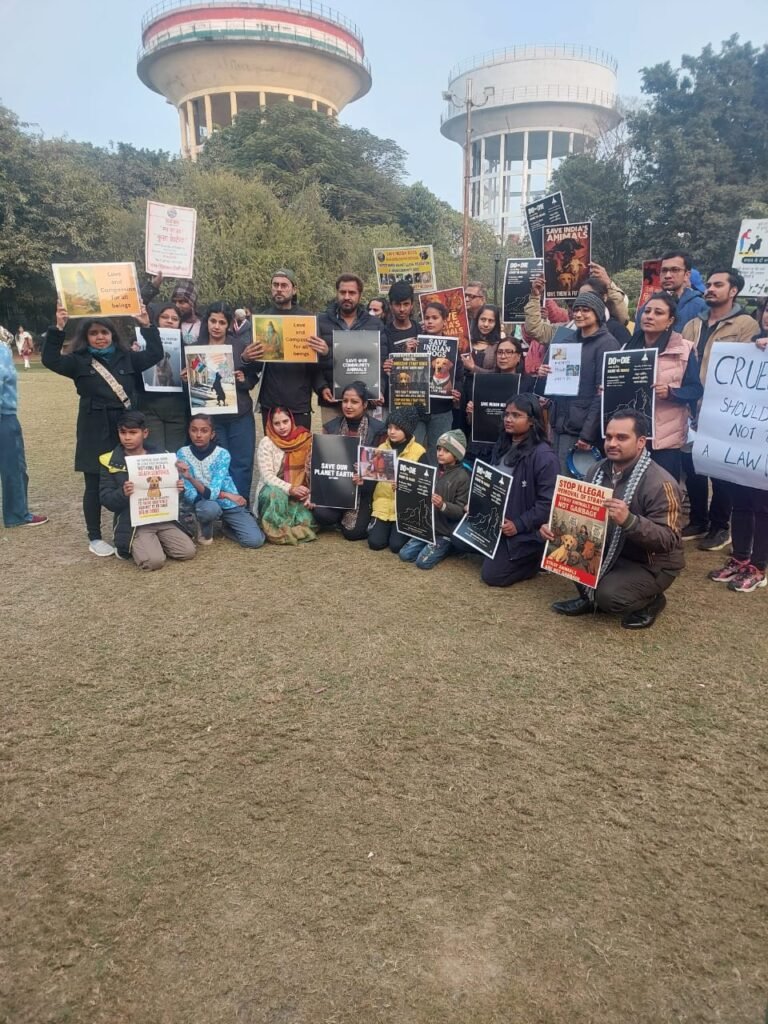 WhatsApp Image 2026-01-04 at 18.19.40 (2)