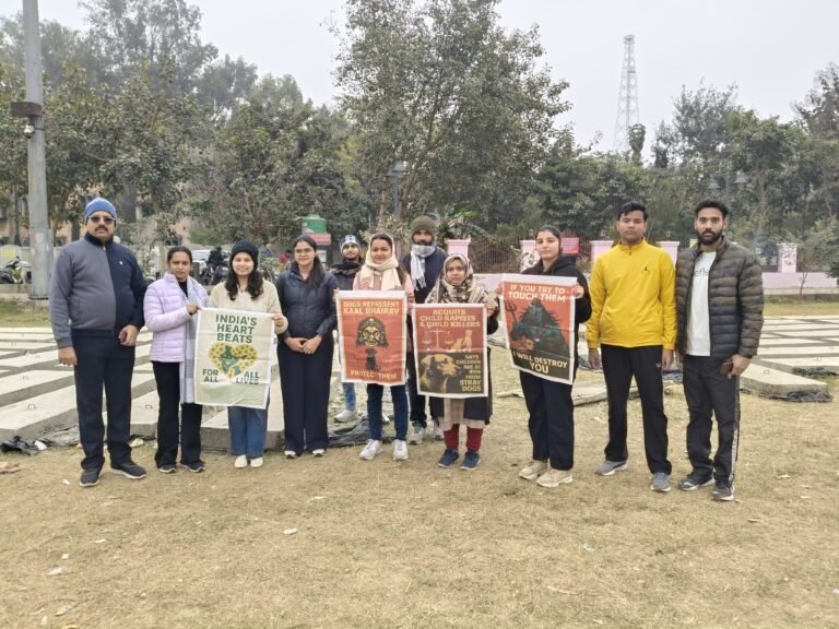 c275152d-0b0b-4e6d-a7e3-e7588a6ee19e