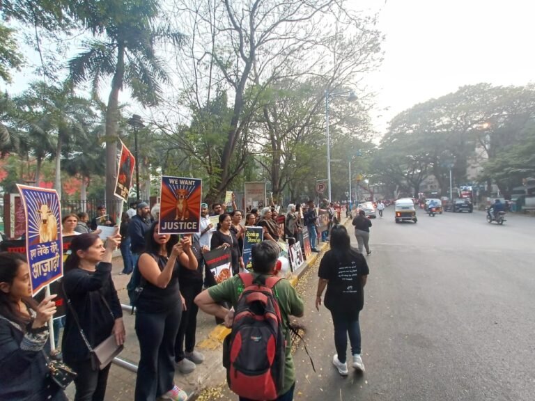 dcf25514-8906-4ee0-9ee7-1f249d5ae77a