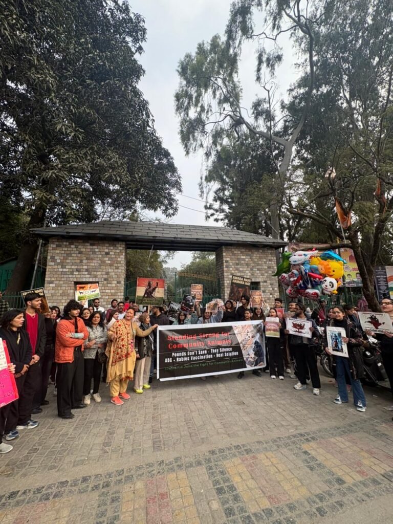 f08a6e20-2ba4-42c0-9d43-5b005f84a501