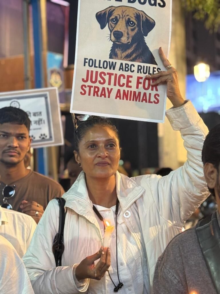 photo_11_2026-01-07_01-56-02