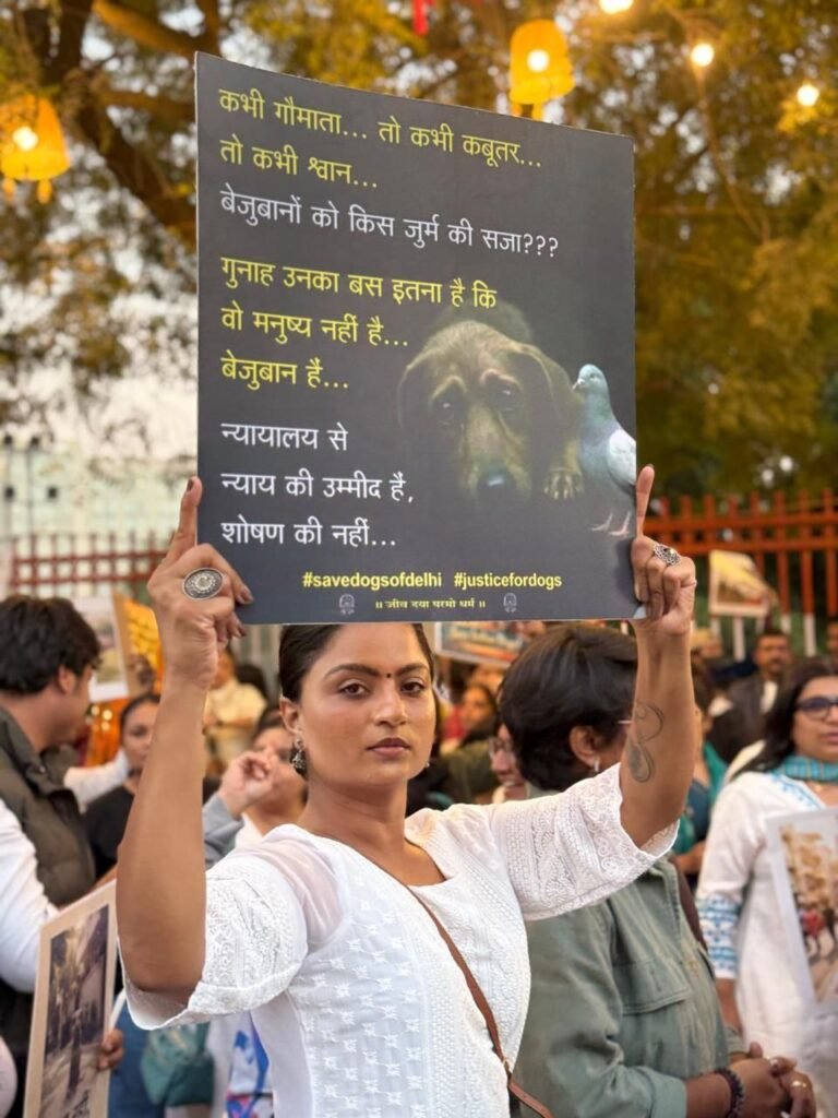 photo_15_2026-01-07_01-56-02