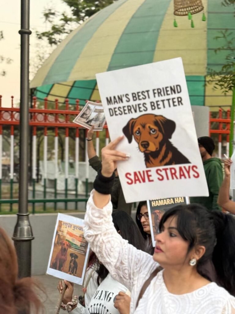 photo_16_2026-01-07_01-56-02