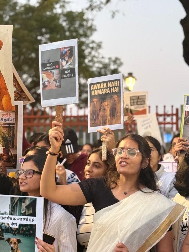 photo_17_2026-01-07_01-56-02