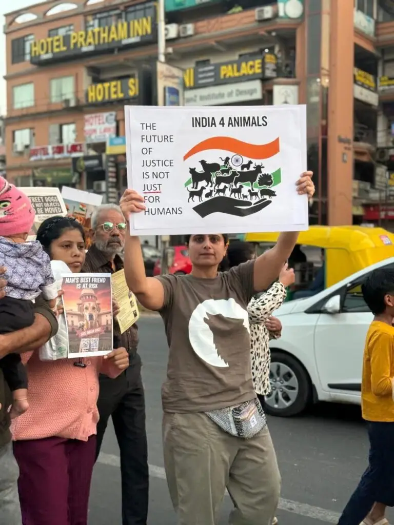 photo_1_2026-01-07_01-56-02