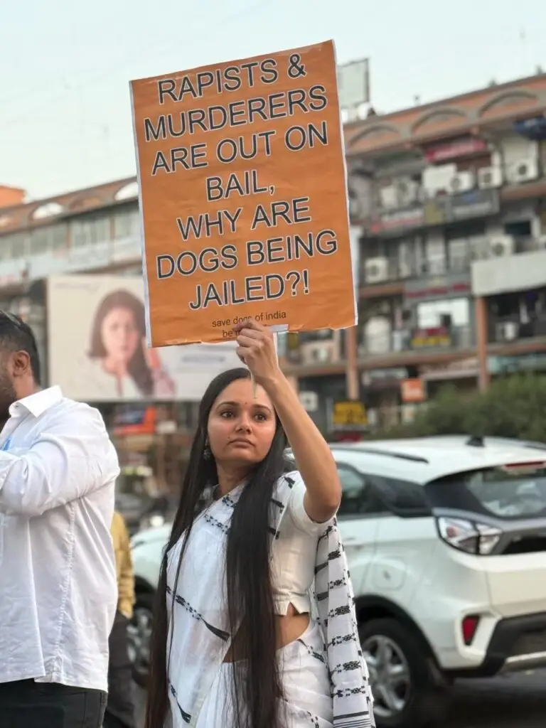 photo_2_2026-01-07_01-56-02