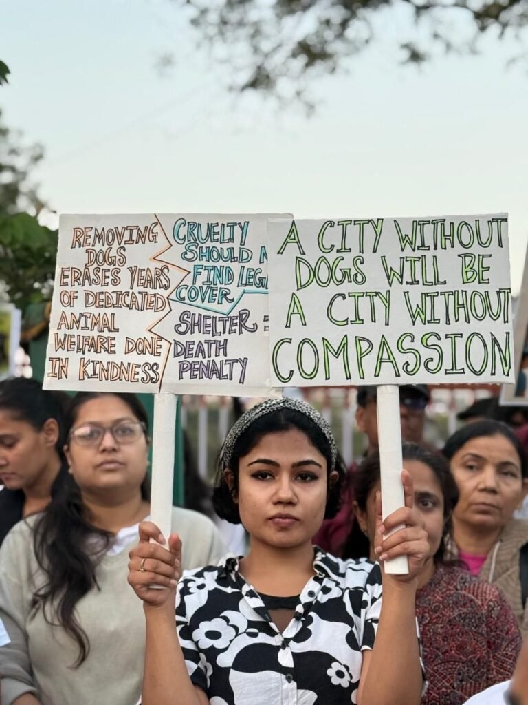 photo_4_2026-01-07_01-56-02