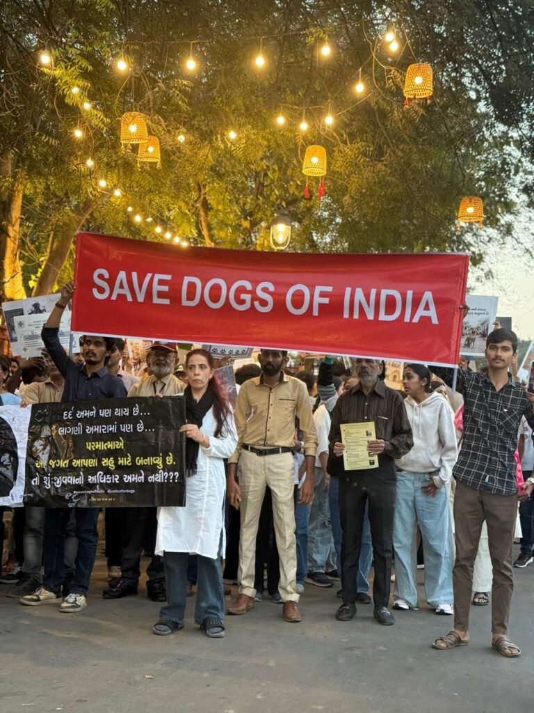 photo_5_2026-01-07_01-56-02