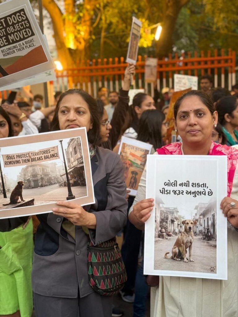 photo_6_2026-01-07_01-56-02