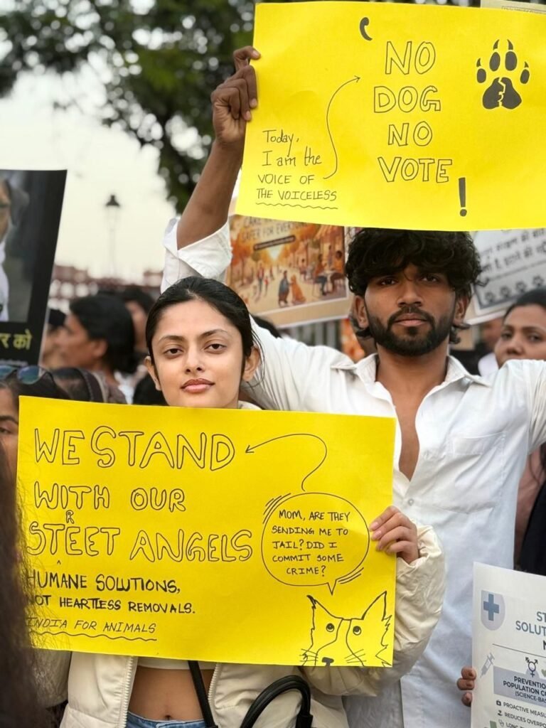 photo_7_2026-01-07_01-56-02