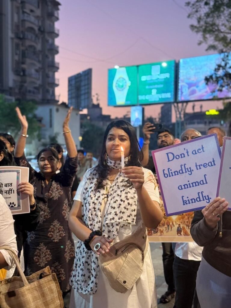 photo_8_2026-01-07_01-56-02